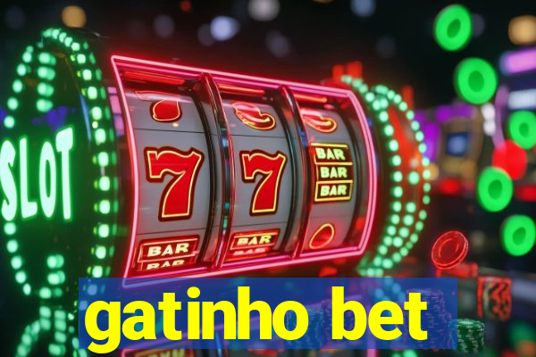 gatinho bet